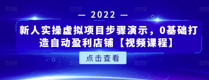 新人实操虚拟项目步骤演示，0基础打造自动盈利店铺【视频课程】-网创客