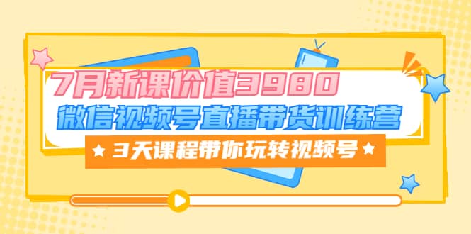 微信视频号直播带货训练营，3天课程带你玩转视频号：7月新课价值3980-网创客