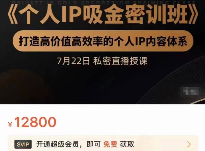 个人IP吸金密训班，打造高价值高效率的个人IP内容体系（价值12800元）-网创客