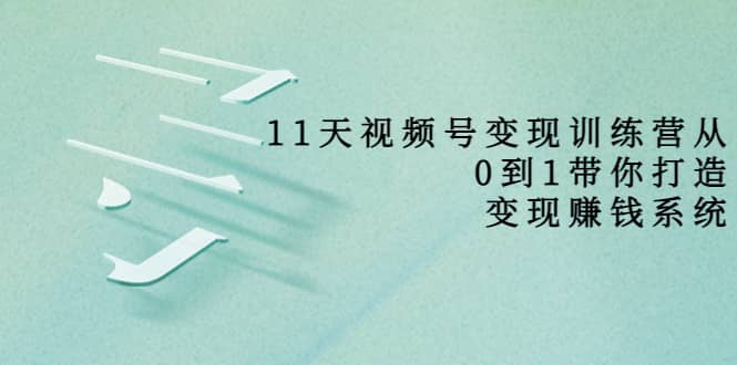 好望角·11天视频号变现训练营，从0到1打造变现赚钱系统（价值398）-网创客