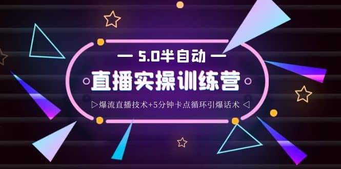 蚂蚁·5.0半自动直播2345打法，半自动爆流直播技术 5分钟卡点循环引爆话术-网创客