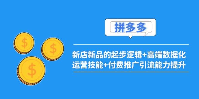 2022拼多多：新店新品的起步逻辑 高端数据化运营技能 付费推广引流能力提升-网创客