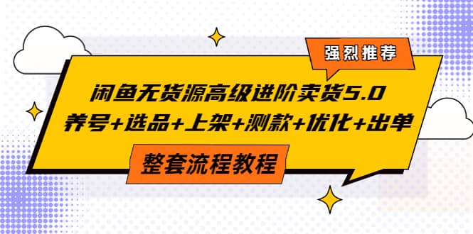 闲鱼无货源高级进阶卖货5.0，养号 选品 上架 测款 优化 出单整套流程教程-网创客