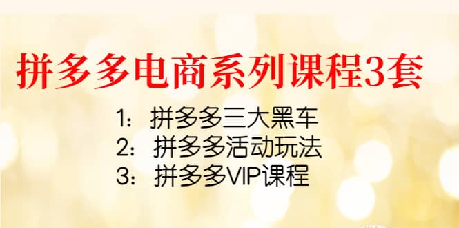 拼多多电商系列课程3套：拼多多三大黑车 拼多多活动玩法 拼多多VIP课程-网创客