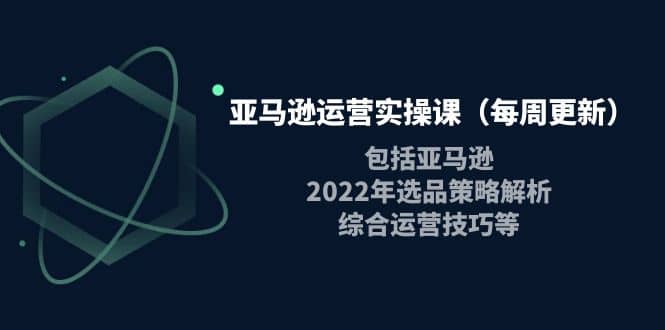 亚马逊运营实操课（每周更新）包括亚马逊2022选品策略解析，综合运营技巧等-网创客