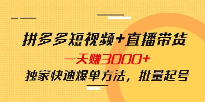 拼多多短视频 直播带货，一天赚3000 独家快速爆单方法，批量起号-宝贝POS网