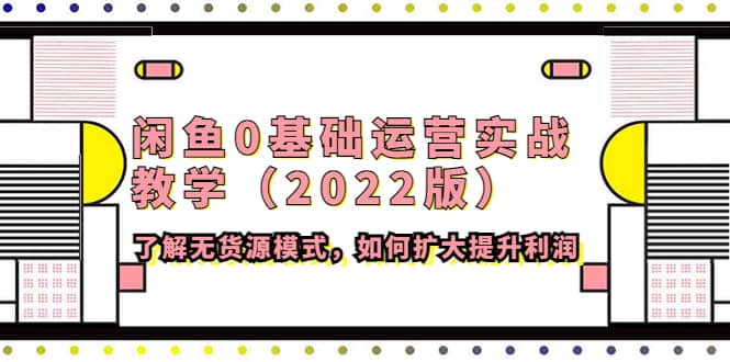 闲鱼0基础运营实战教学（2022版）了解无货源模式，如何扩大提升利润-网创客