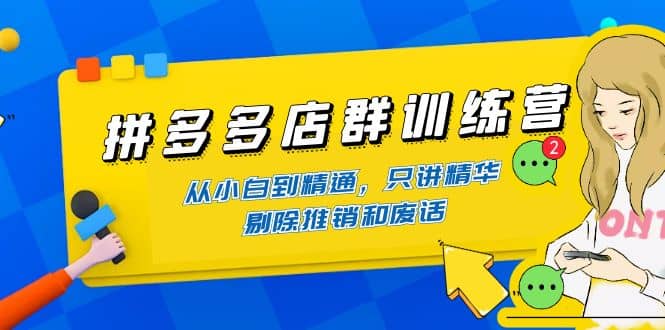 拼多多店群训练营：从小白到精通，只讲精华，剔除推销和废话-网创客