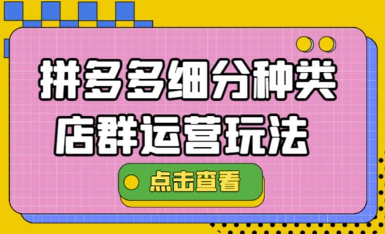 拼多多细分种类店群运营玩法3.0，11月最新玩法，小白也可以操作-网创客