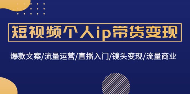 短视频个人ip带货变现：爆款文案/流量运营/直播入门/镜头变现/流量商业-网创客