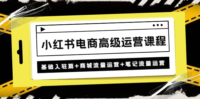 小红书电商高级运营课程：基础入驻篇 商城流量运营 笔记流量运营-网创客