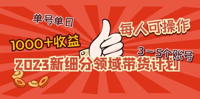 2023新细分领域带货计划：单号单日1000 收益不难，每人可操作3-5个账号-网创客