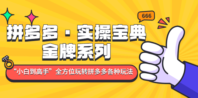 拼多多·实操宝典：金牌系列“小白到高手”带你全方位玩转拼多多各种玩法-网创客