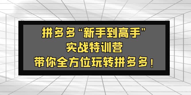 拼多多“新手到高手”实战特训营：带你全方位玩转拼多多-网创客