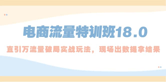 电商流量特训班18.0，直引万流量破局实操玩法，现场出数据拿结果-网创客