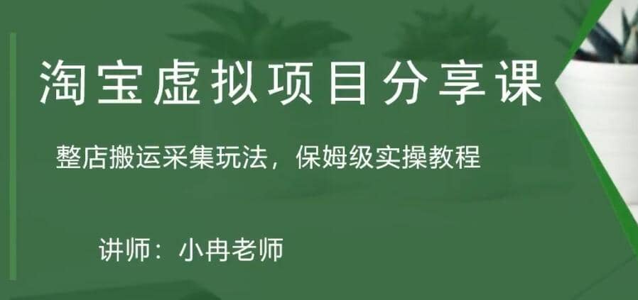 淘宝虚拟整店搬运采集玩法分享课：整店搬运采集玩法，保姆级实操教程-宝贝POS网