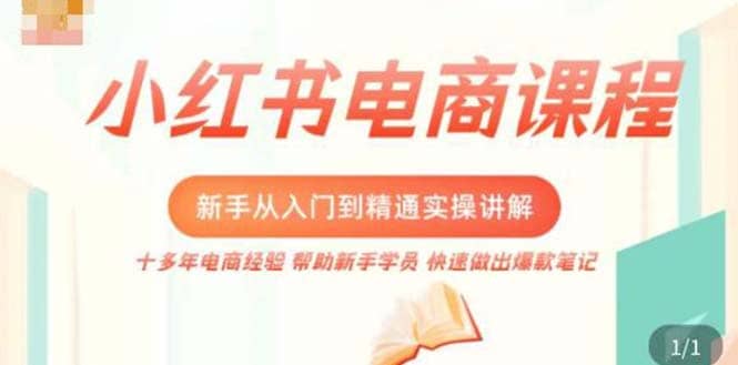 小红书电商新手入门到精通实操课，从入门到精通做爆款笔记，开店运营-宝贝POS网