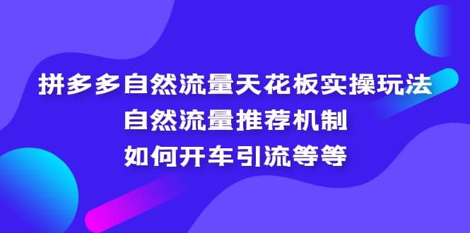 拼多多自然流量天花板实操玩法：自然流量推荐机制，如何开车引流等等-网创客