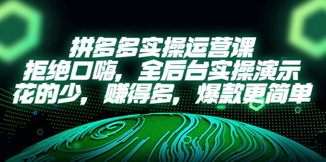 拼多多实操运营课：拒绝口嗨，全后台实操演示，花的少，赚得多，爆款更简单-网创客