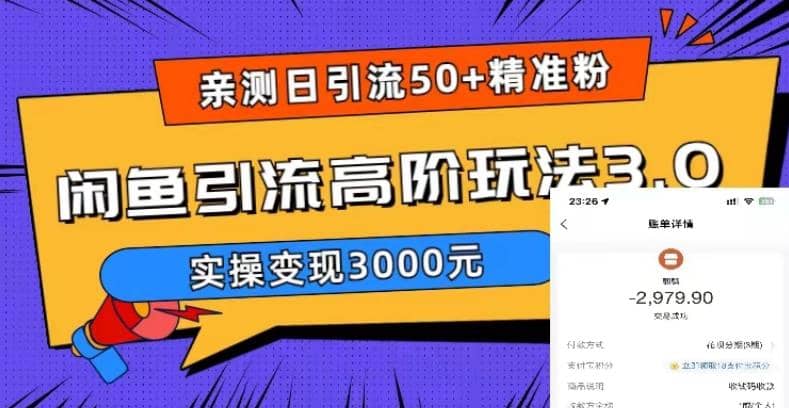 实测日引50 精准粉，闲鱼引流高阶玩法3.0，实操变现3000元-网创客