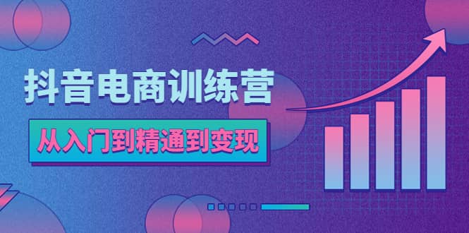 抖音电商训练营：从入门到精通，从账号定位到流量变现，抖店运营实操-网创客