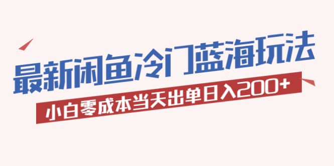 2023最新闲鱼冷门蓝海玩法，小白零成本当天出单日入200-宝贝POS网