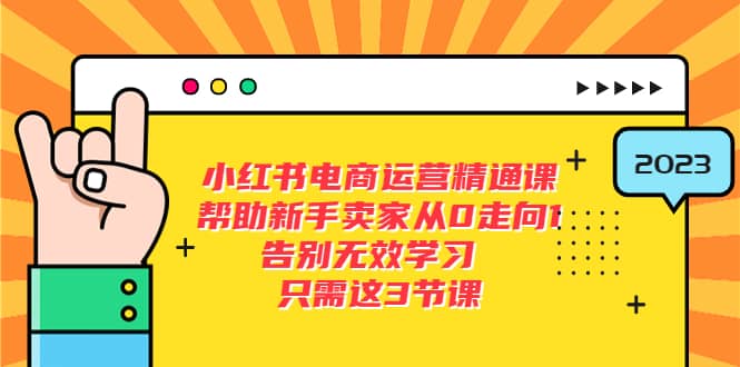 小红书电商·运营精通课，帮助新手卖家从0走向1 告别无效学习（7节视频课）-网创客