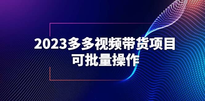 2023多多视频带货项目，可批量操作【保姆级教学】-宝贝POS网