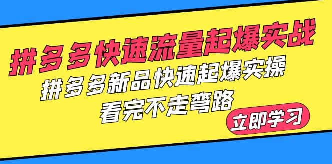 拼多多-快速流量起爆实战，拼多多新品快速起爆实操，看完不走弯路-宝贝POS网