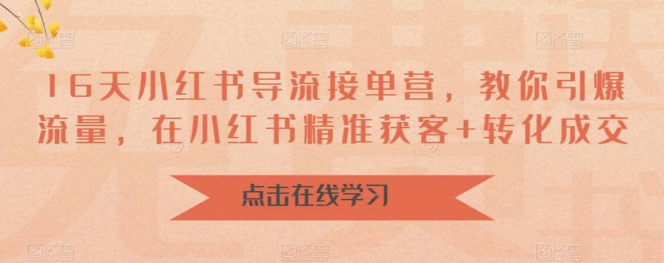 16天-小红书 导流接单营，教你引爆流量，在小红书精准获客 转化成交-网创客