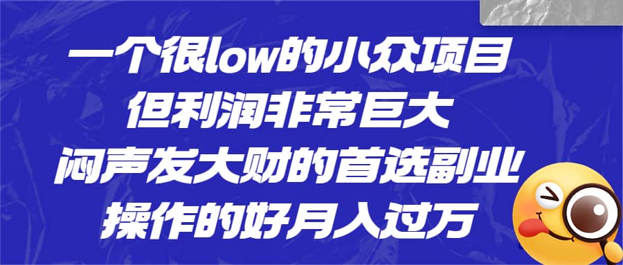 一个很low的小众项目，但利润非常巨大，闷声发大财的首选副业，月入过万-宝贝POS网