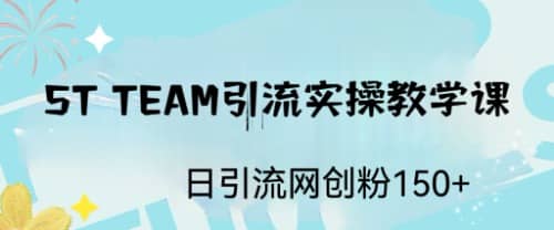 ST TEAM引流实操课，日引流网创粉100-网创客