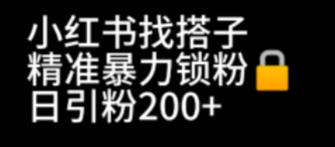 小红书找搭子暴力精准锁粉 引流日引200 精准粉-网创客