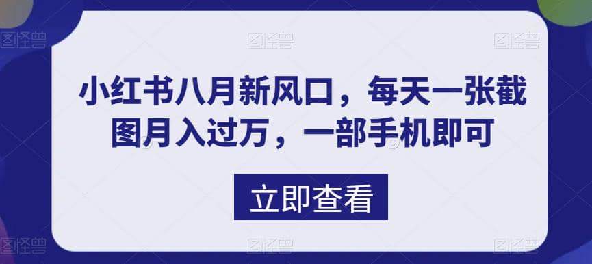 八月新风口，小红书虚拟项目一天收入1000 ，实战揭秘-网创客