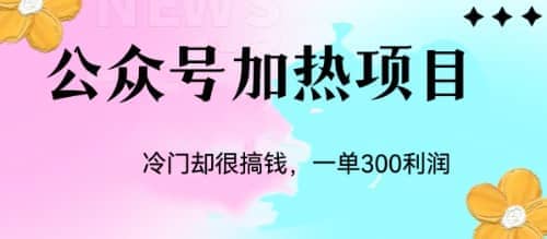 冷门公众号加热项目，一单利润300-宝贝POS网