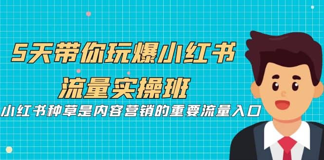 5天带你玩爆小红书流量实操班，小红书种草是内容营销的重要流量入口-网创客