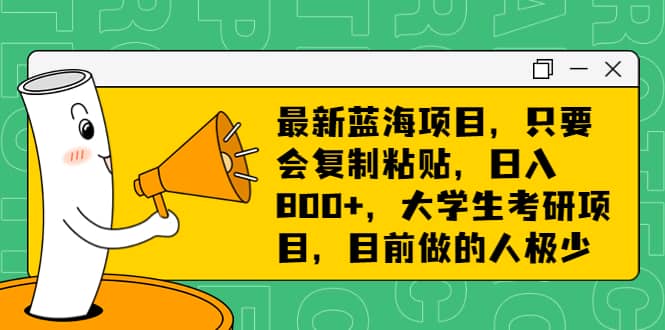 最新蓝海项目，只要会复制粘贴，日入800 ，大学生考研项目，目前做的人极少-宝贝POS网