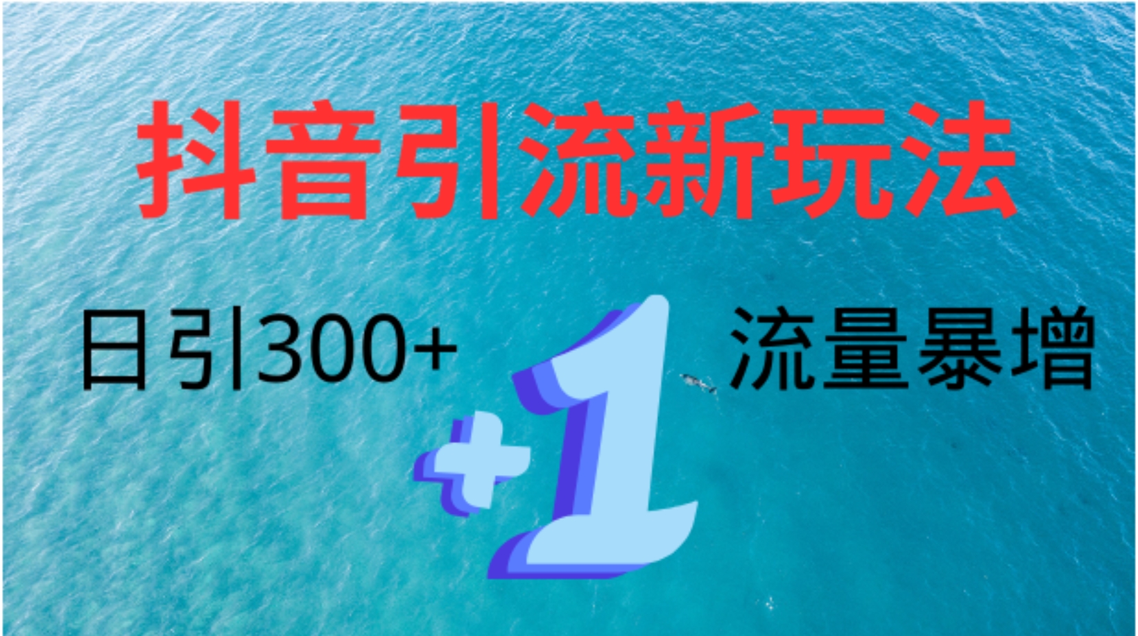 创业粉高效引流，抖音工具号玩法4.0，日引300+-网创客