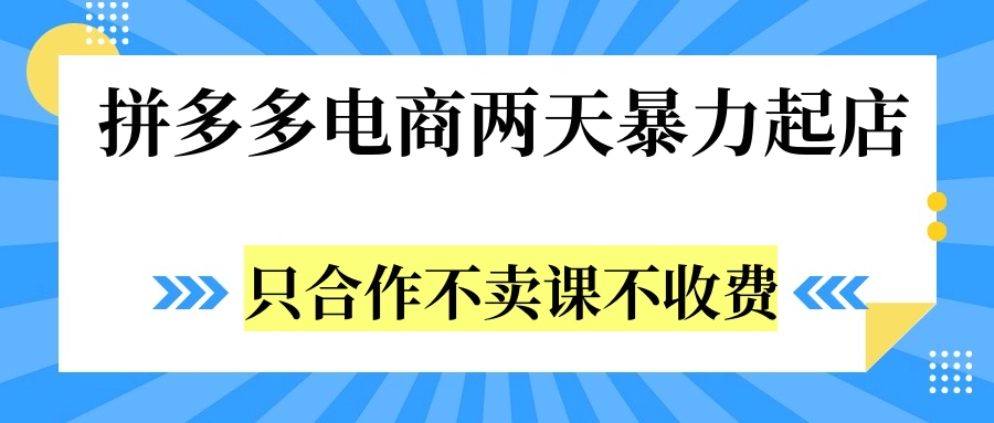 拼多多两天暴力起店，只合作不卖课不收费-网创客