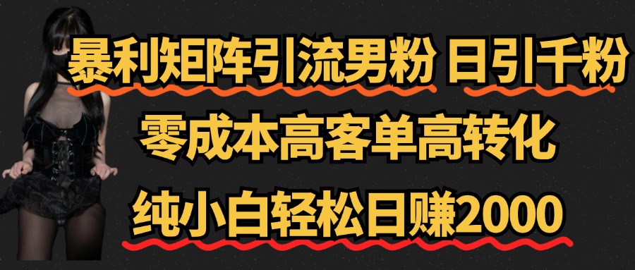 暴利矩阵引流男粉（日引千粉），零成本高客单高转化，纯小白轻松日赚2000+-网创客