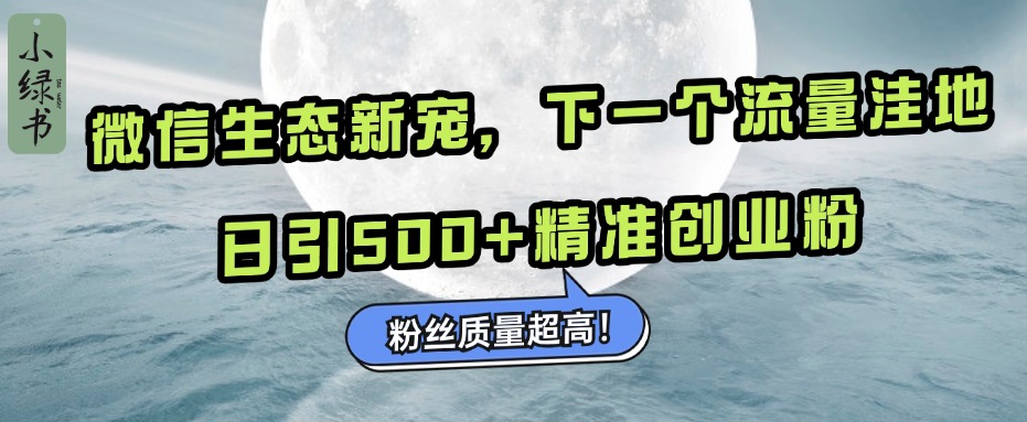 微信生态新宠小绿书：下一个流量洼地，粉丝质量超高，日引500+精准创业粉，-宝贝POS网