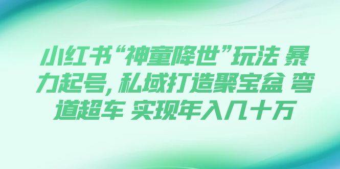 小红书“神童降世”玩法 暴力起号,私域打造聚宝盆 弯道超车 实现年入几十万-网创客